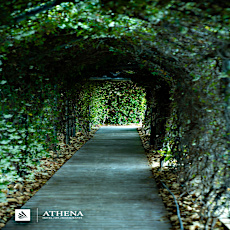Athena Premium Hotels